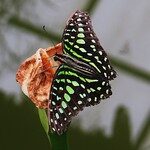 10713489816_f93c00d9a9_q